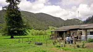مزرعتنا