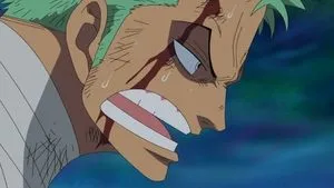 Encounter! The Great Swordsman Mihawk! Zoro's Self-Willed Deadly Struggle!