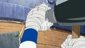 Capture Robin! The Determination of the Straw Hats!