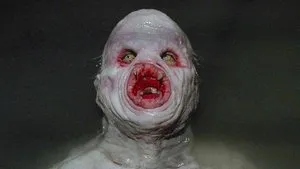 The Host